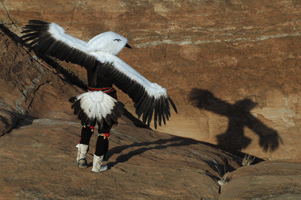 CLA-Eagle-Dancer-068.gif